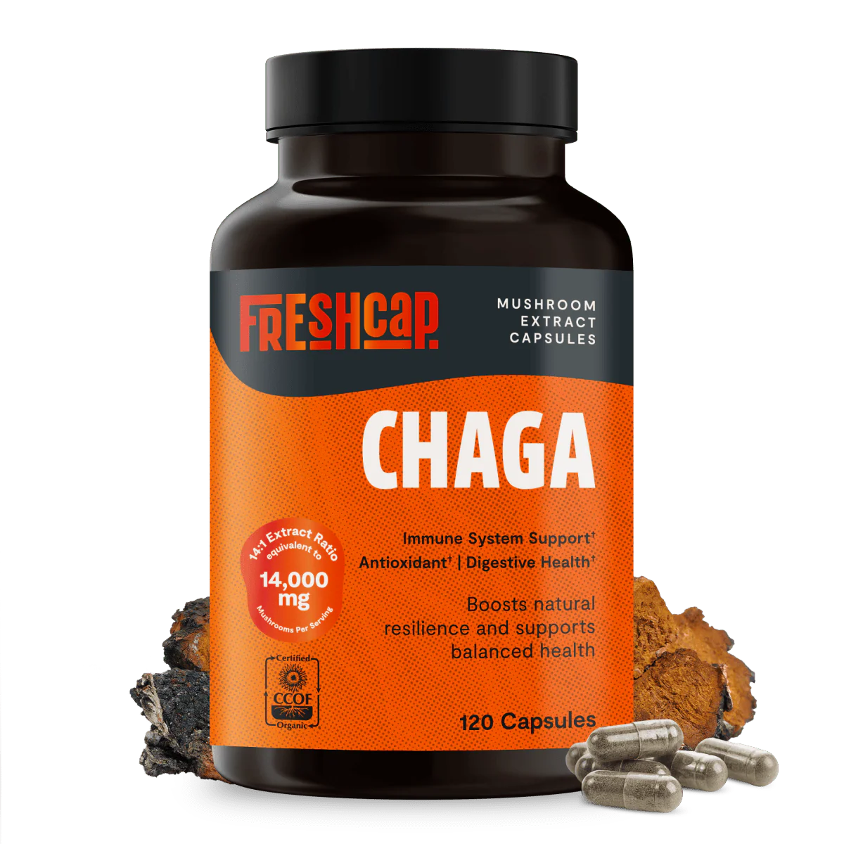 Chaga Mushroom Extract Capsules