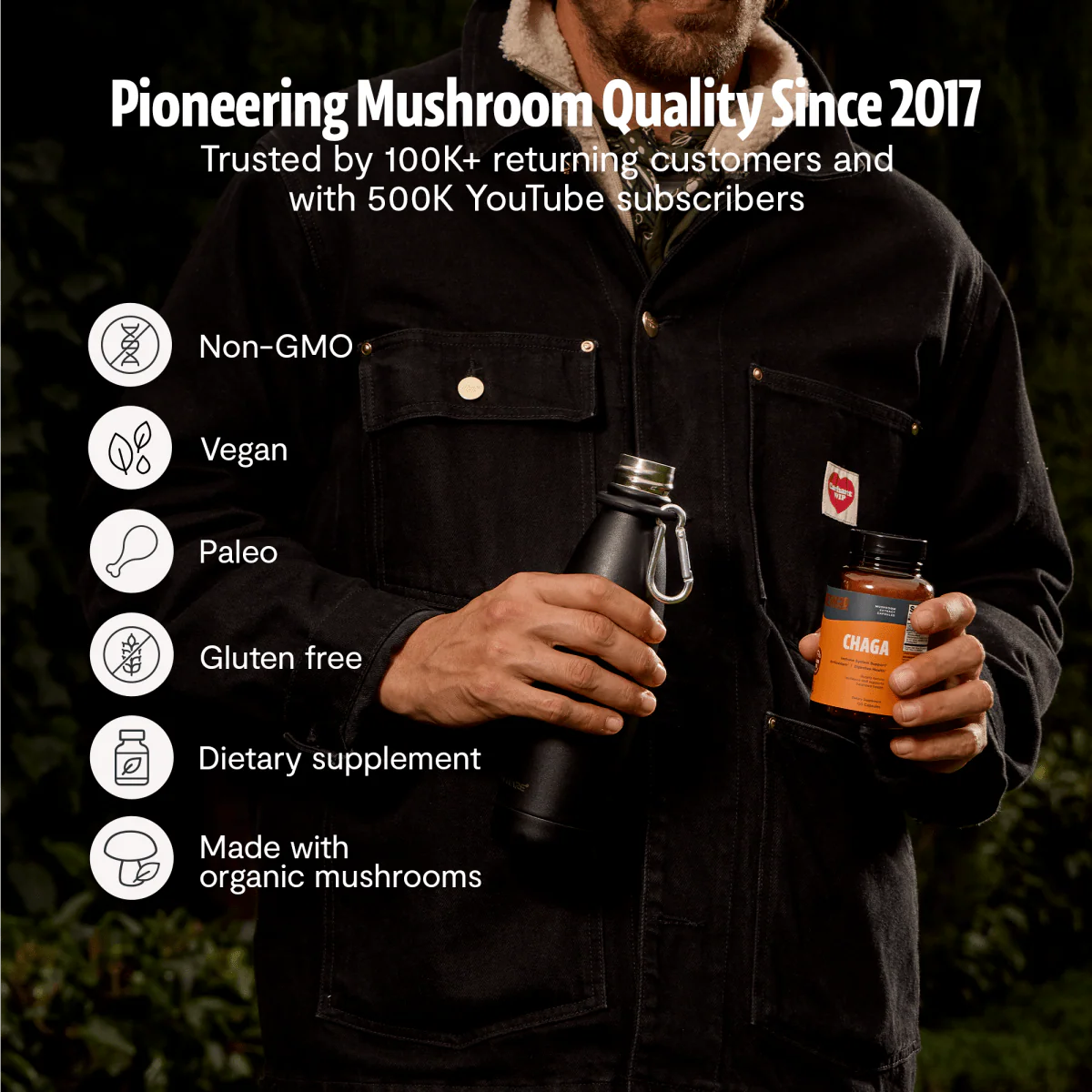 Chaga Mushroom Extract Capsules - Image 14