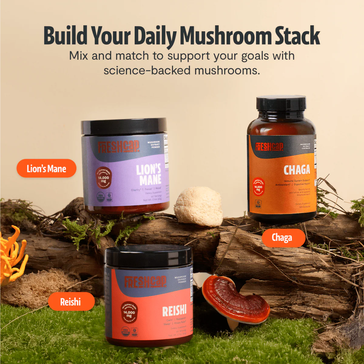 Chaga Mushroom Extract Capsules - Image 15