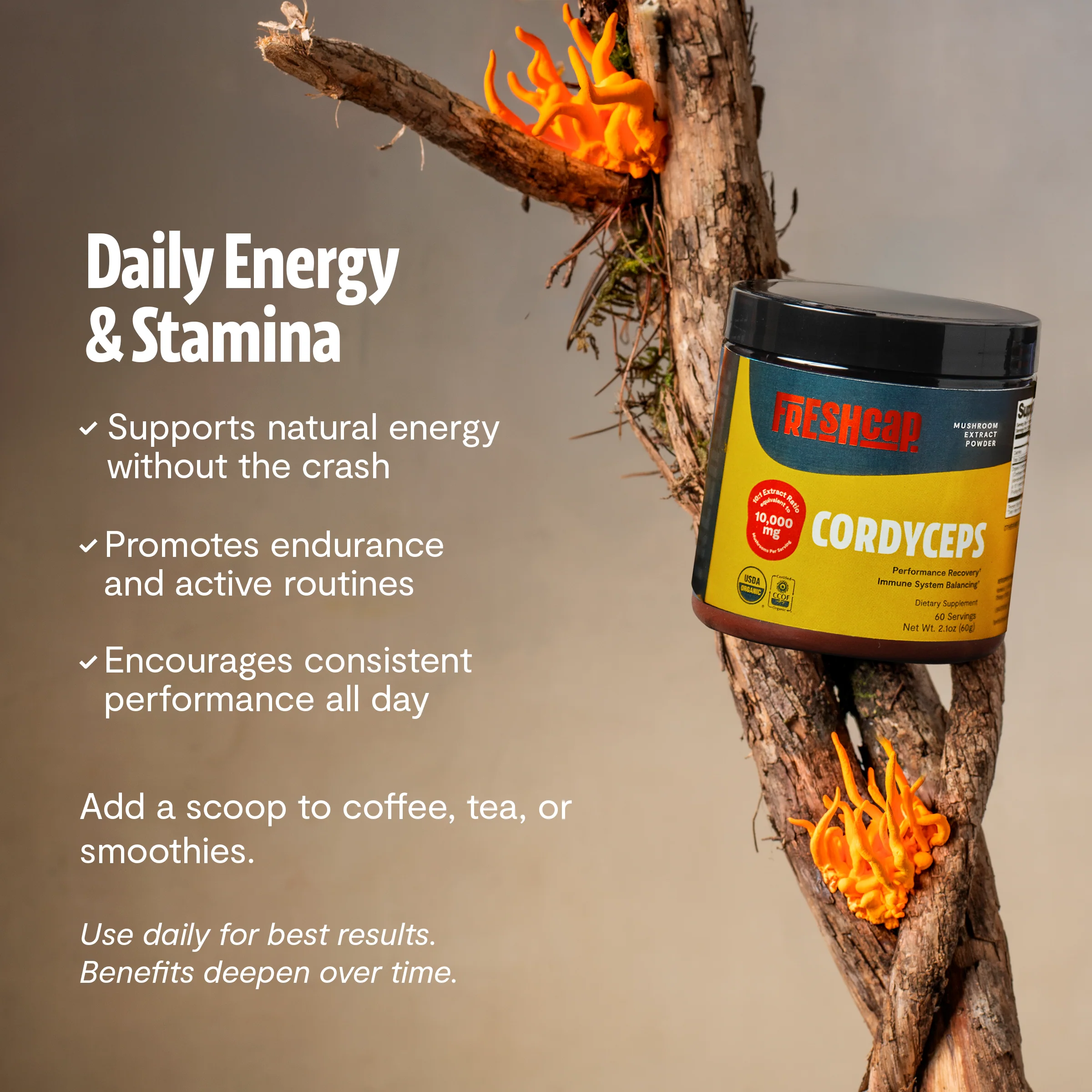 Cordyceps Mushroom Extract Powder - Image 19