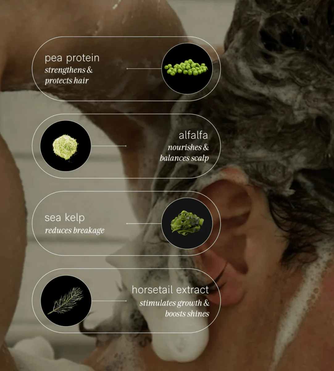 Creamy Shampoo - Image 3