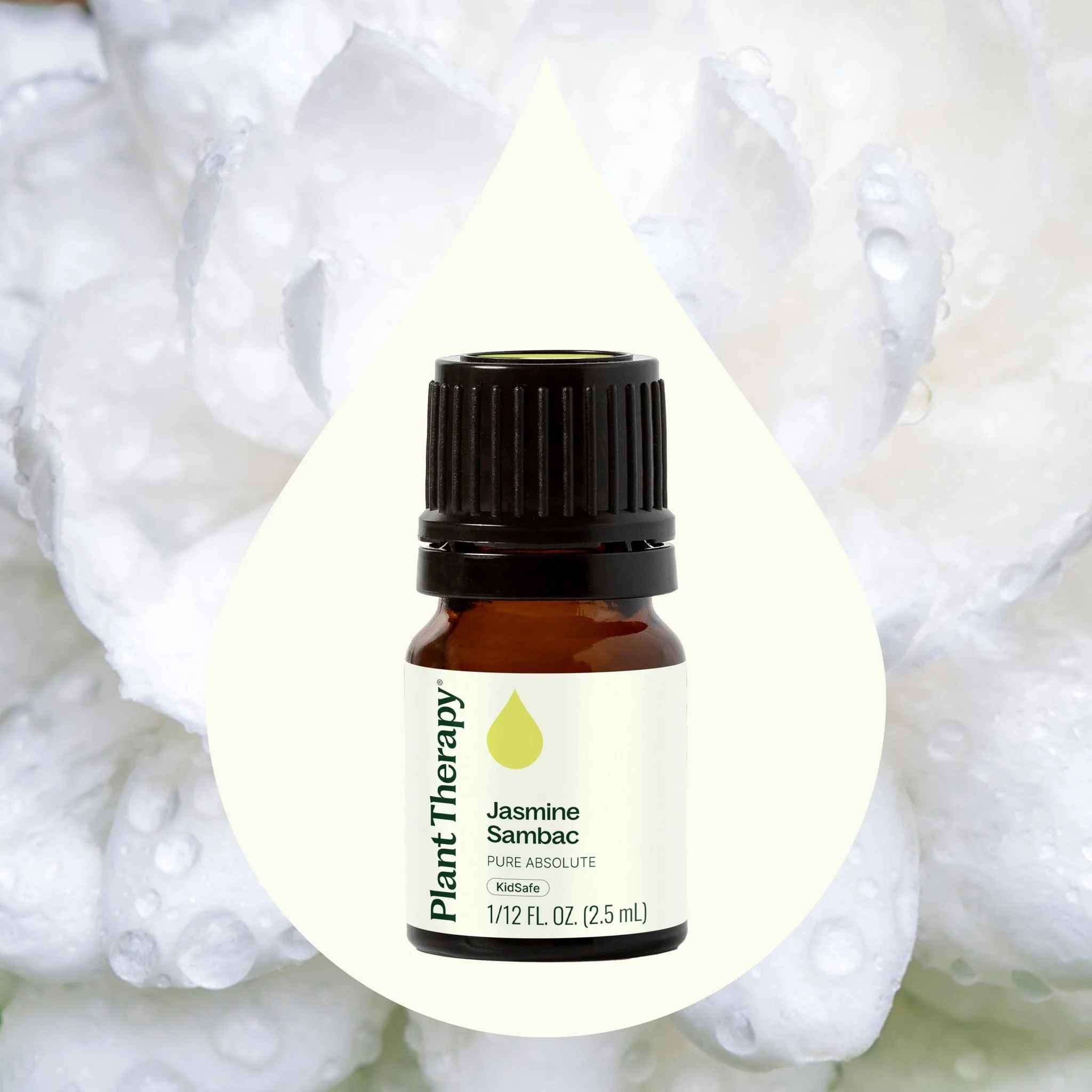 Jasmine Sambac Pure Absolute - Image 2