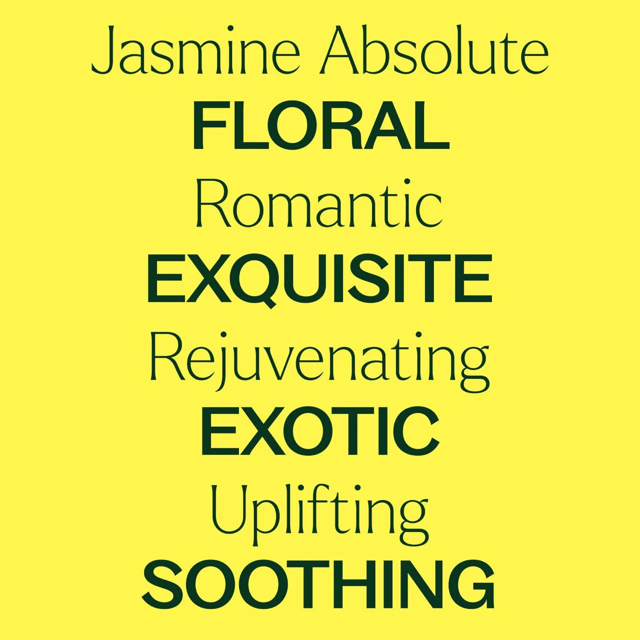 Jasmine Sambac Pure Absolute - Image 3