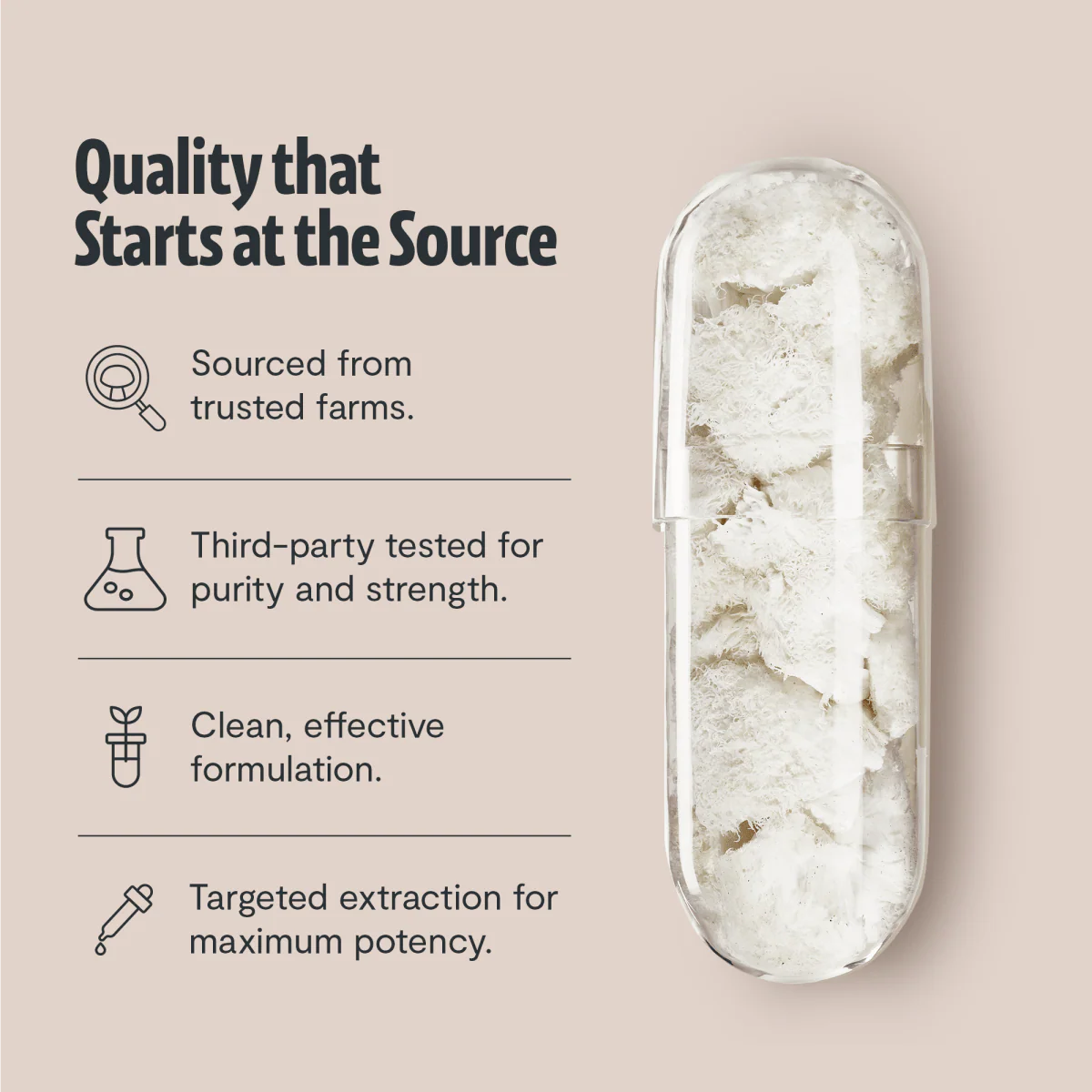 Lion's Mane Mushroom Extract Capsules - Image 12
