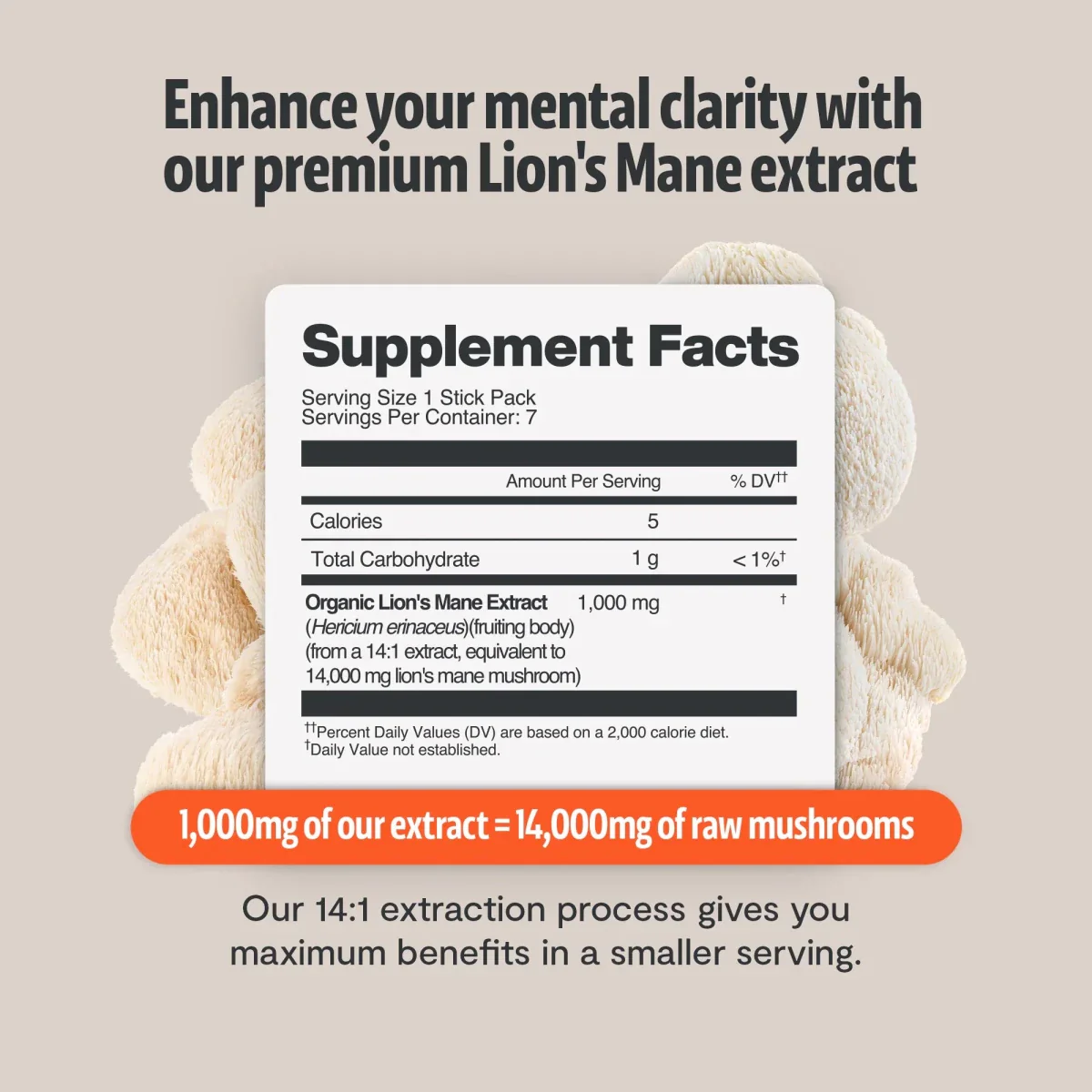 Lion's Mane Mushroom Extract Powder - Image 14