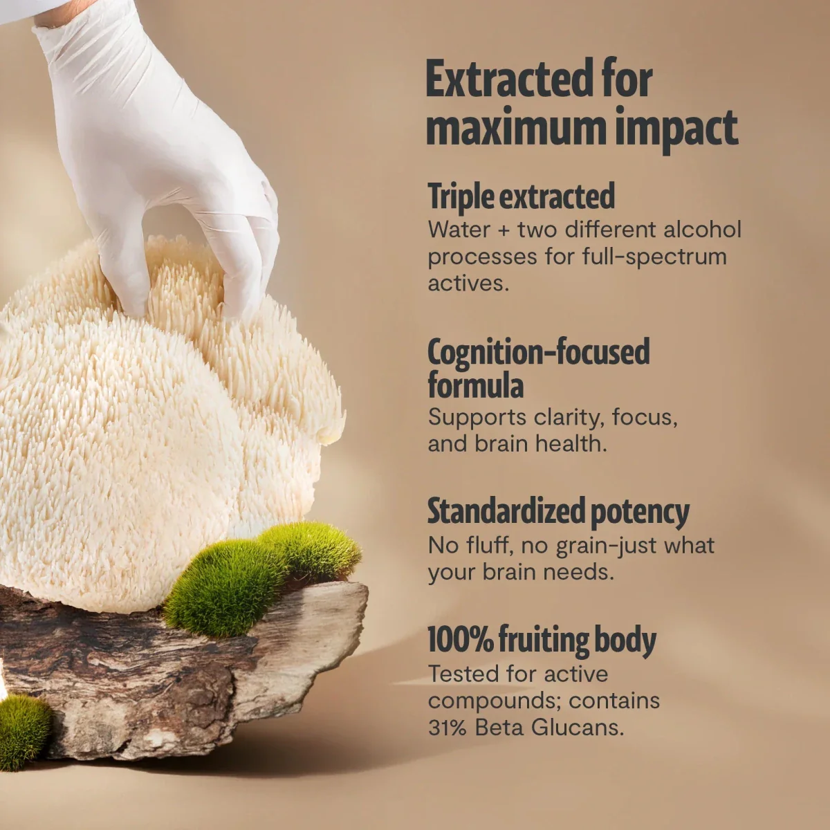 Lion's Mane Mushroom Extract Powder - Image 17