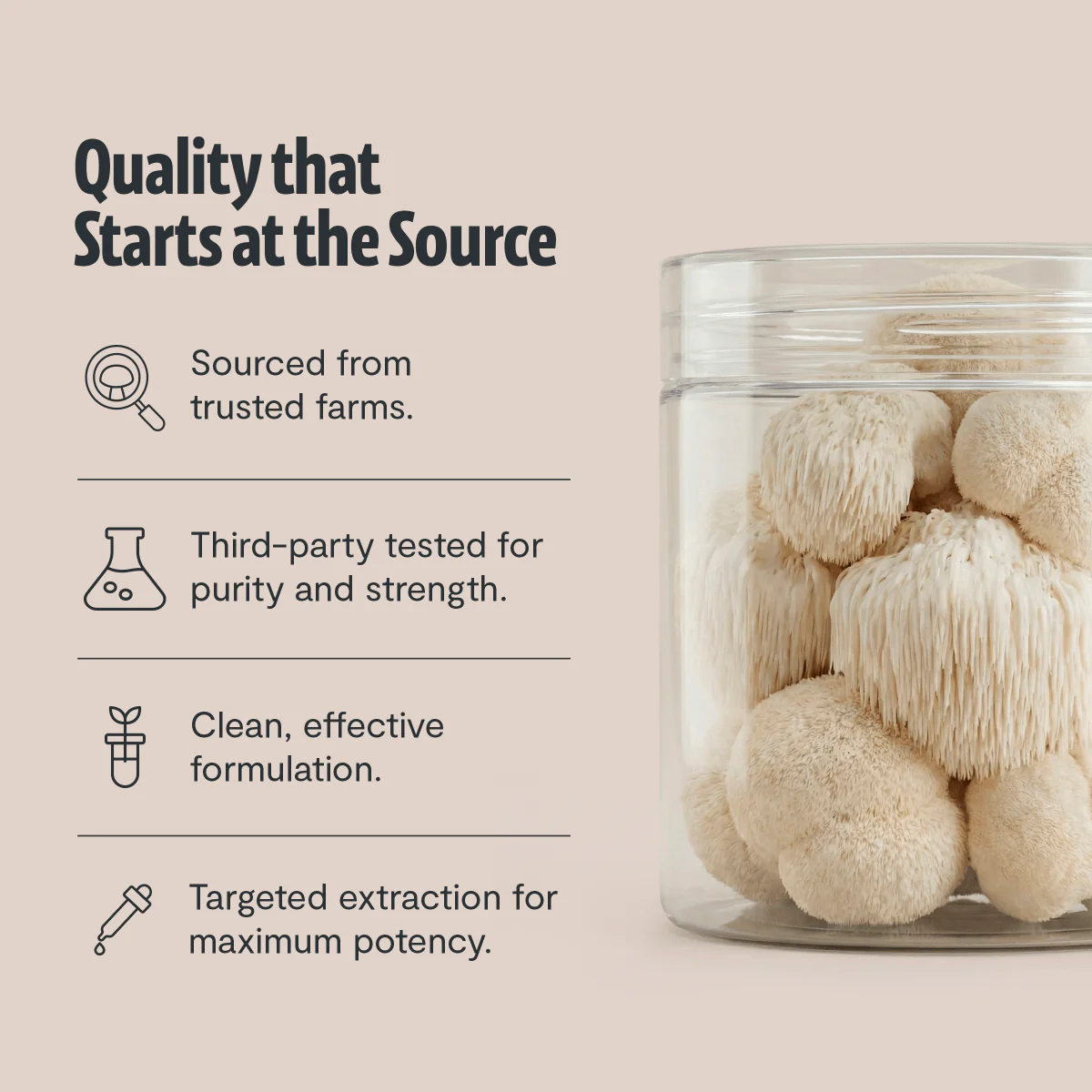 Lion's Mane Mushroom Extract Powder - Image 32