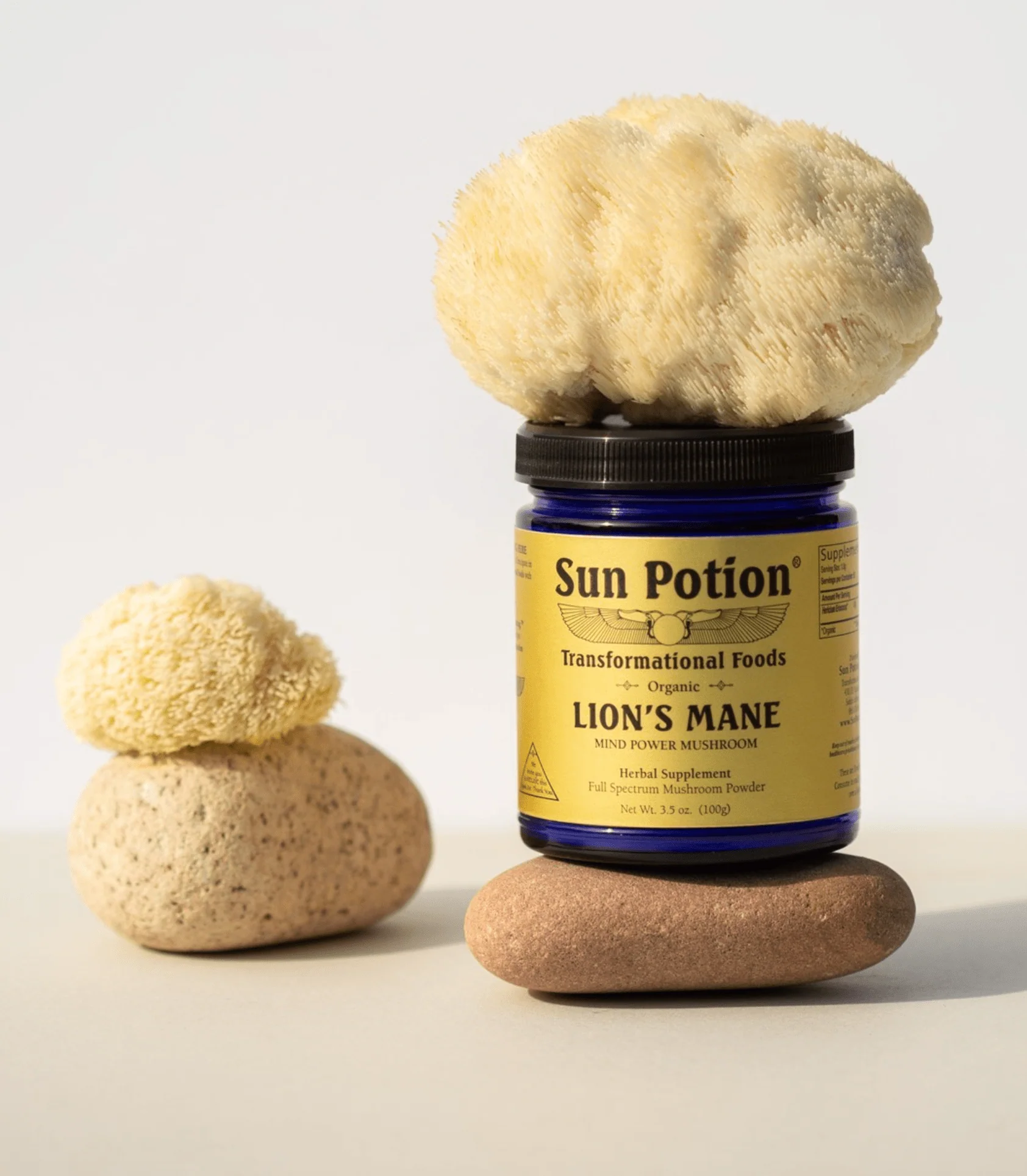 Lion's Mane (Organic) 100 grams - Image 3