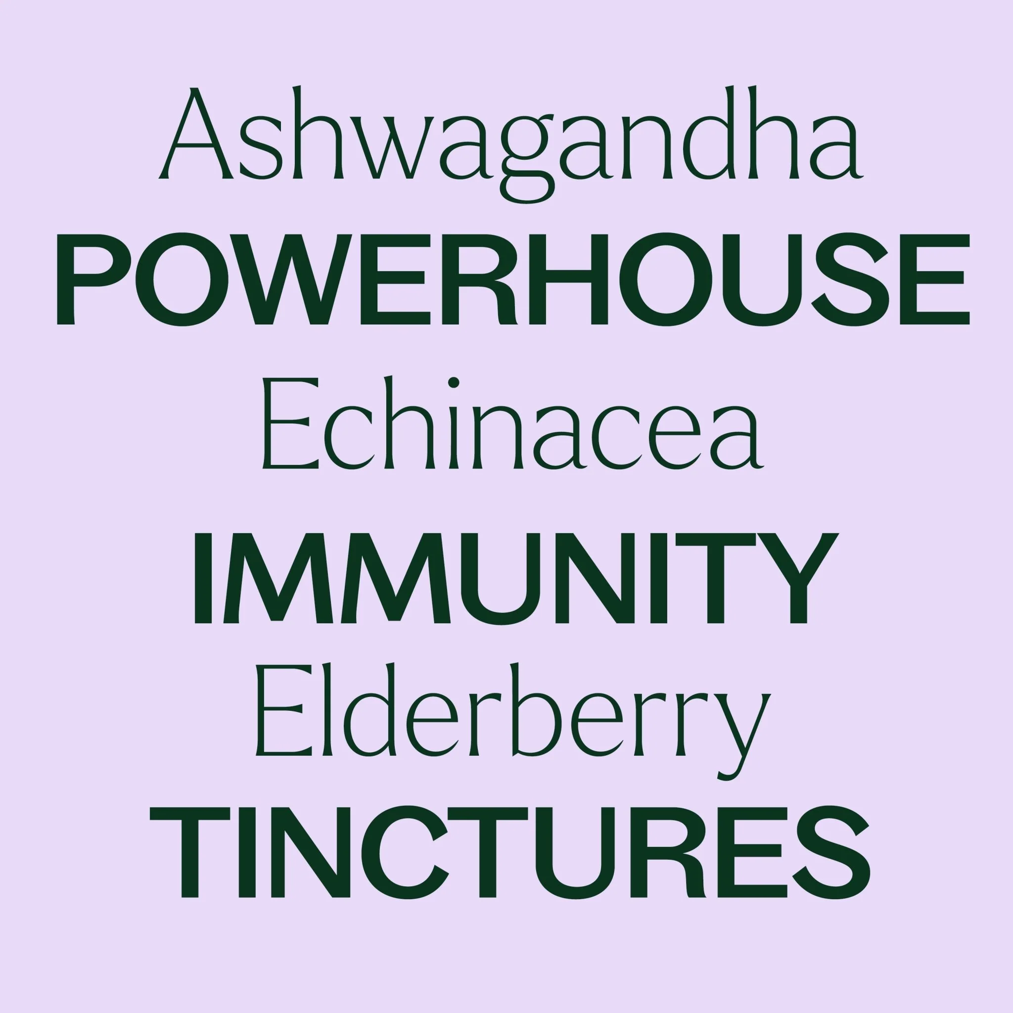 Powerhouse Immunity Tincture Trio Set - Image 3