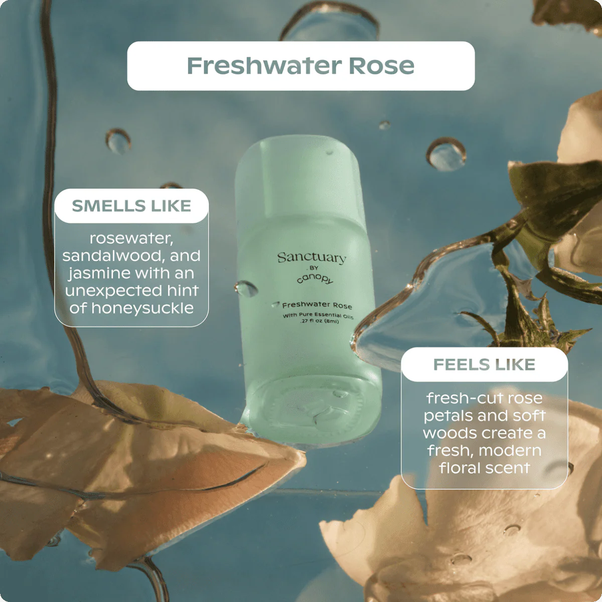 Sanctuary Aroma Kit - Image 5