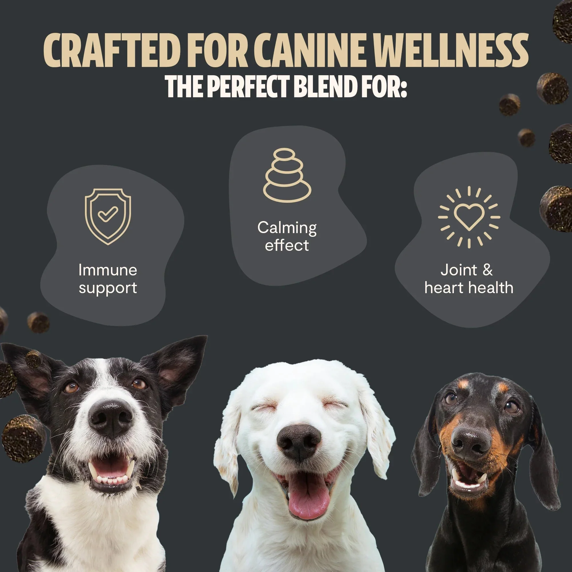 Shroomies® - Mushrooms For Dogs - Image 4
