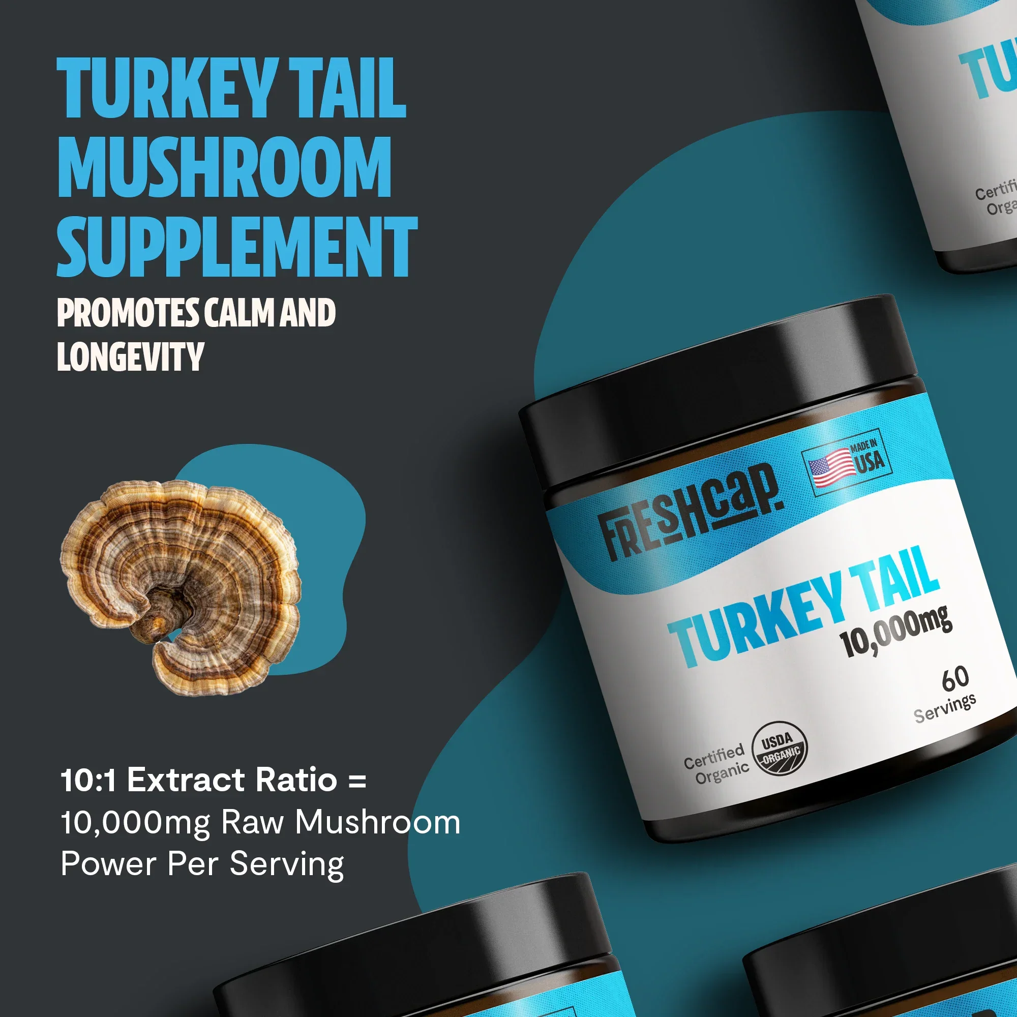 Turkey Tail Mushroom Extract Powder - Image 12