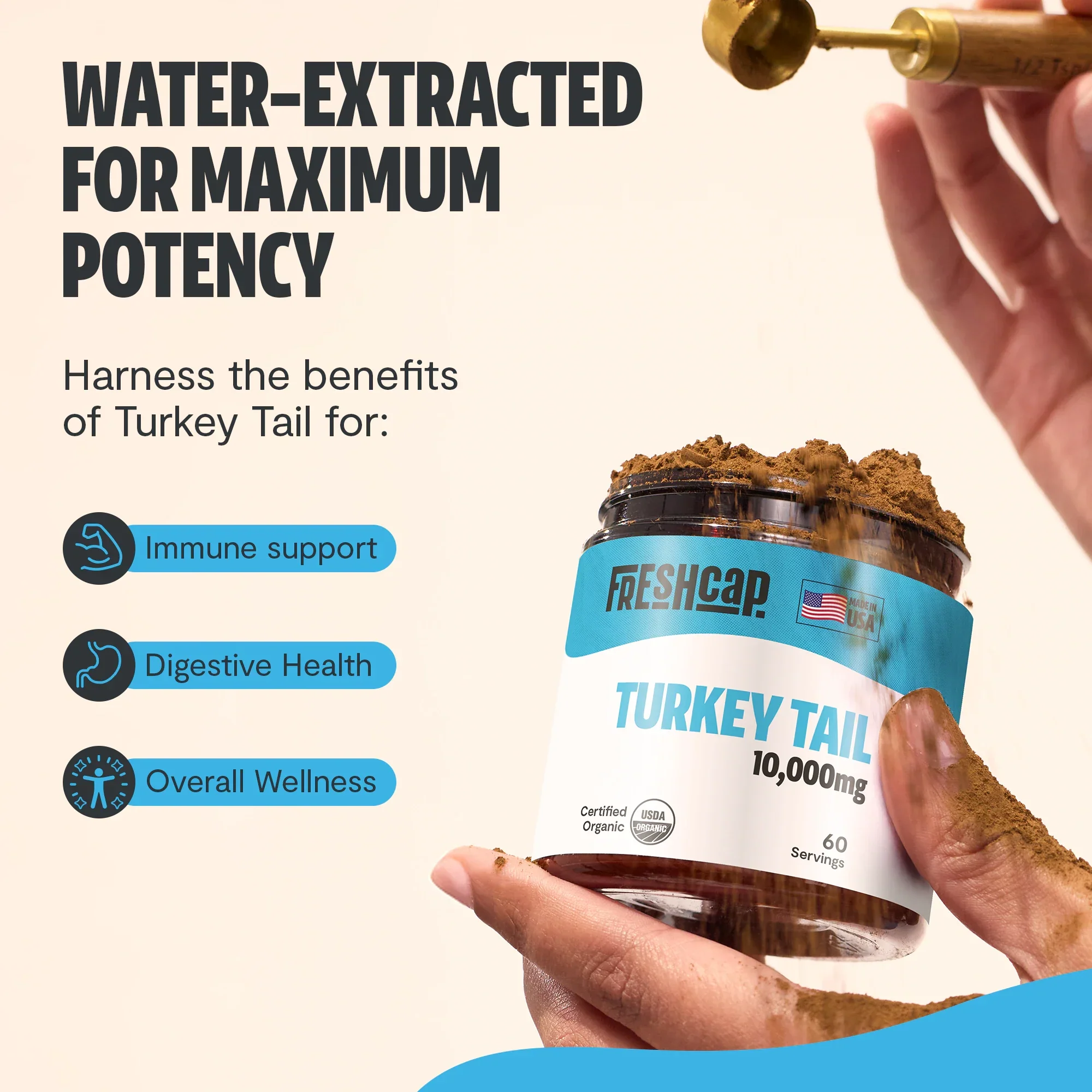 Turkey Tail Mushroom Extract Powder - Image 13