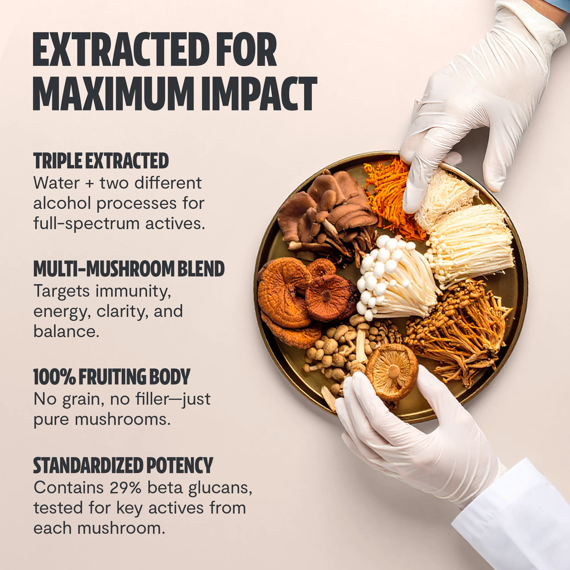 Ultimate Mushroom Complex Capsules - Image 32