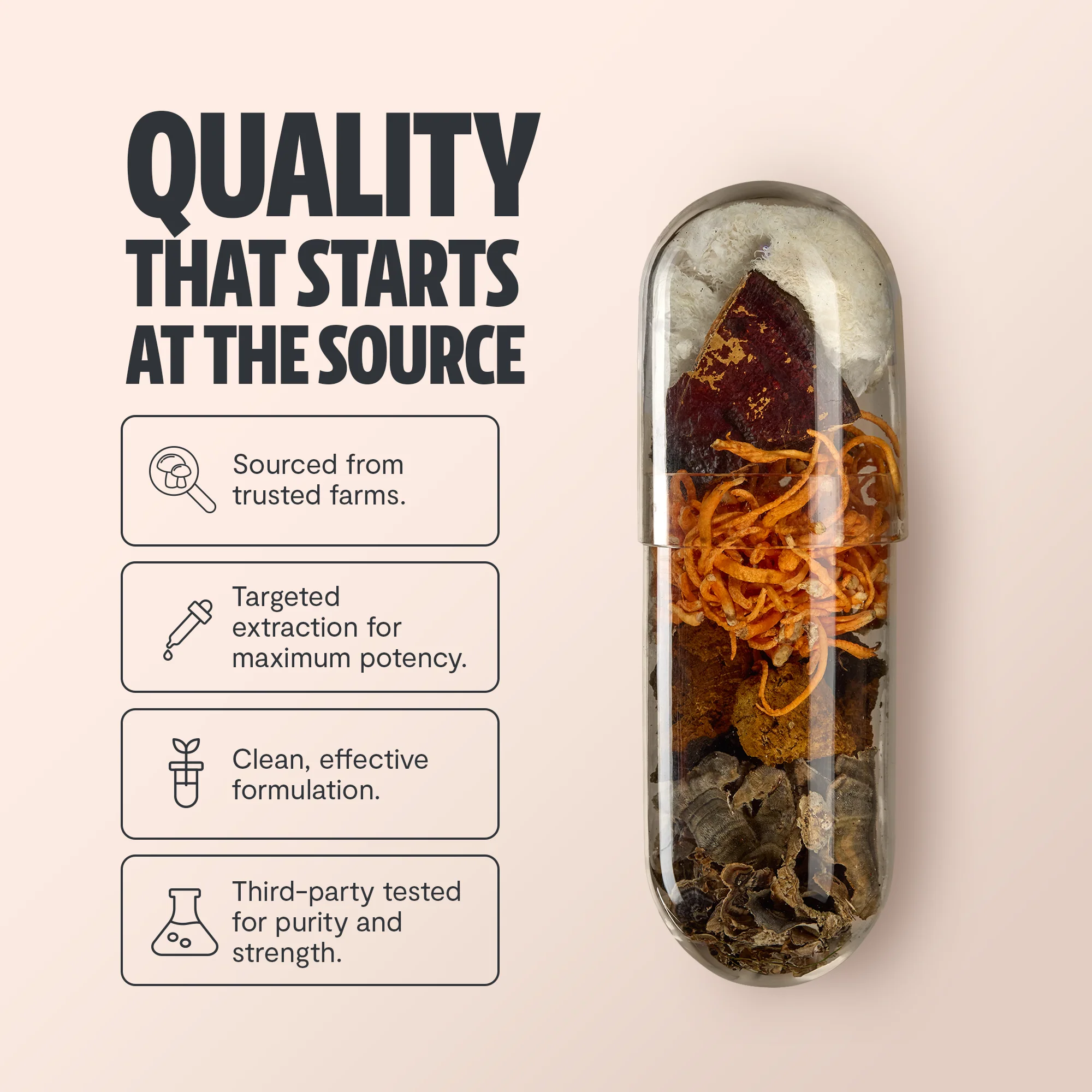 Ultimate Mushroom Complex Capsules - Image 33