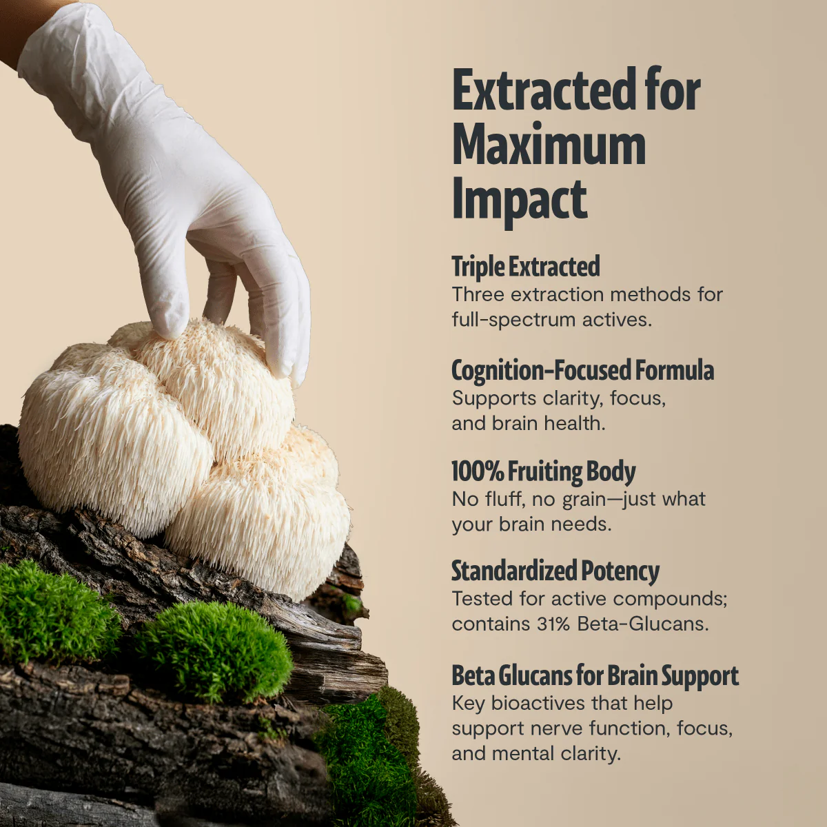 Ultimate Mushroom Complex Capsules - Image 40