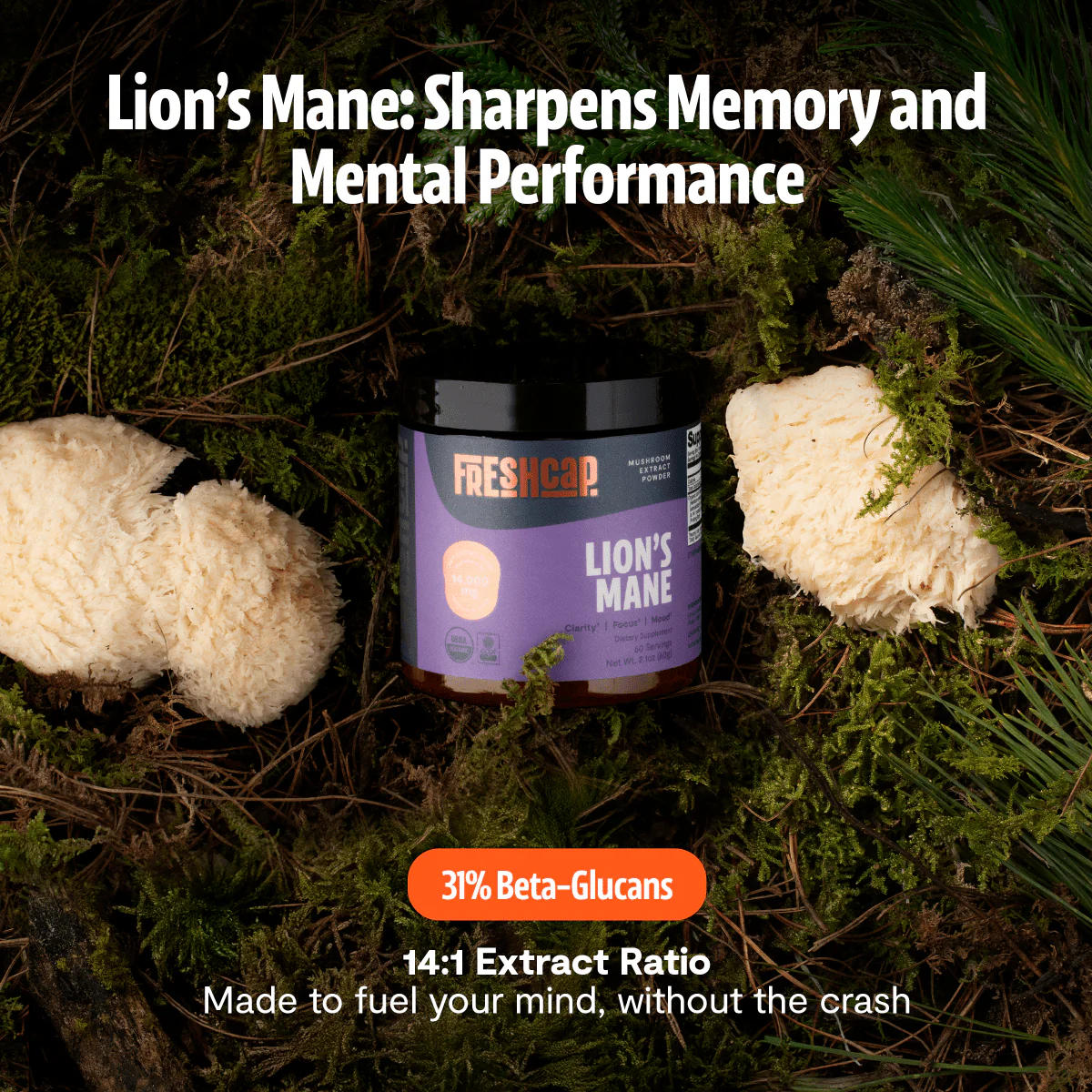 Ultimate Mushroom Complex Capsules - Image 43
