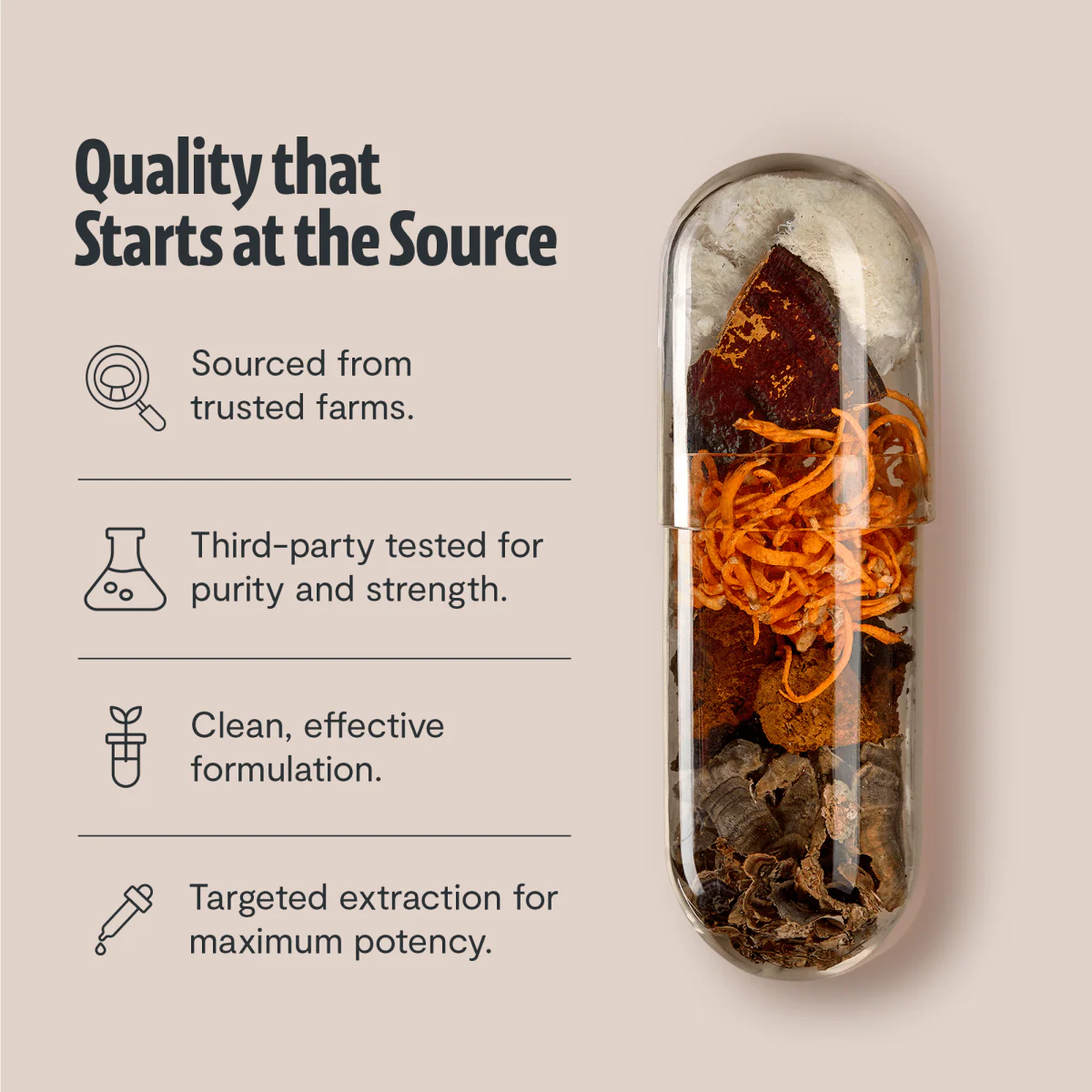 Ultimate Mushroom Complex Capsules - Image 46