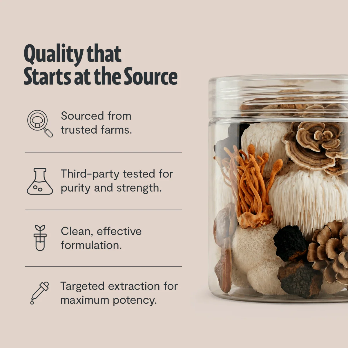 Ultimate Mushroom Complex Powder - Image 16