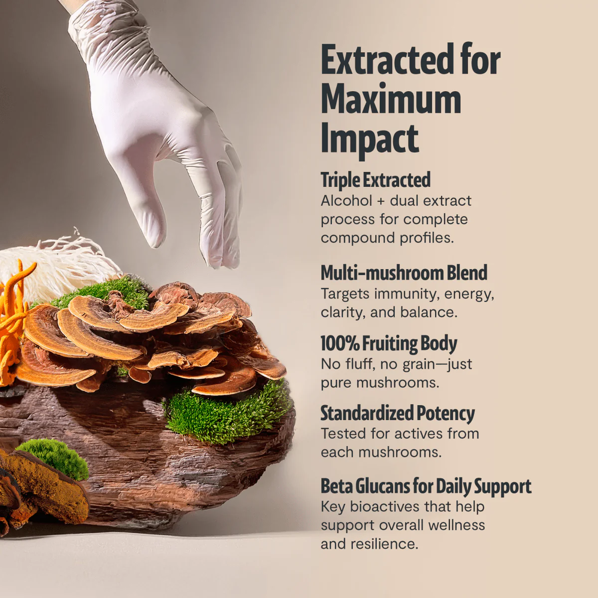 Ultimate Mushroom Complex Powder - Image 24