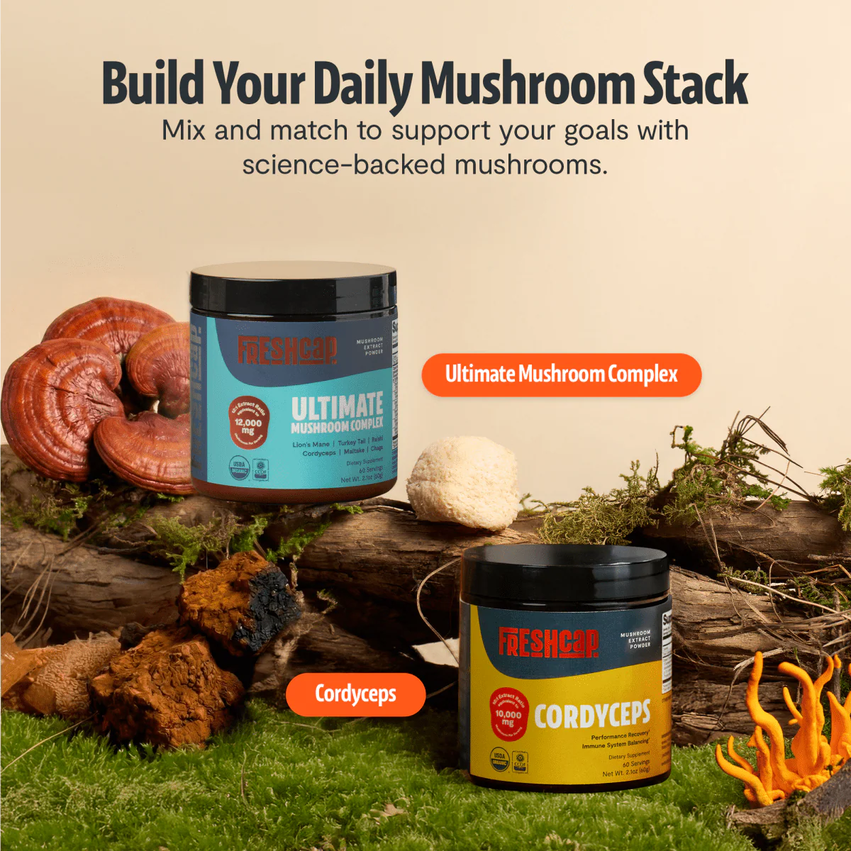 Ultimate Mushroom Complex Powder - Image 26